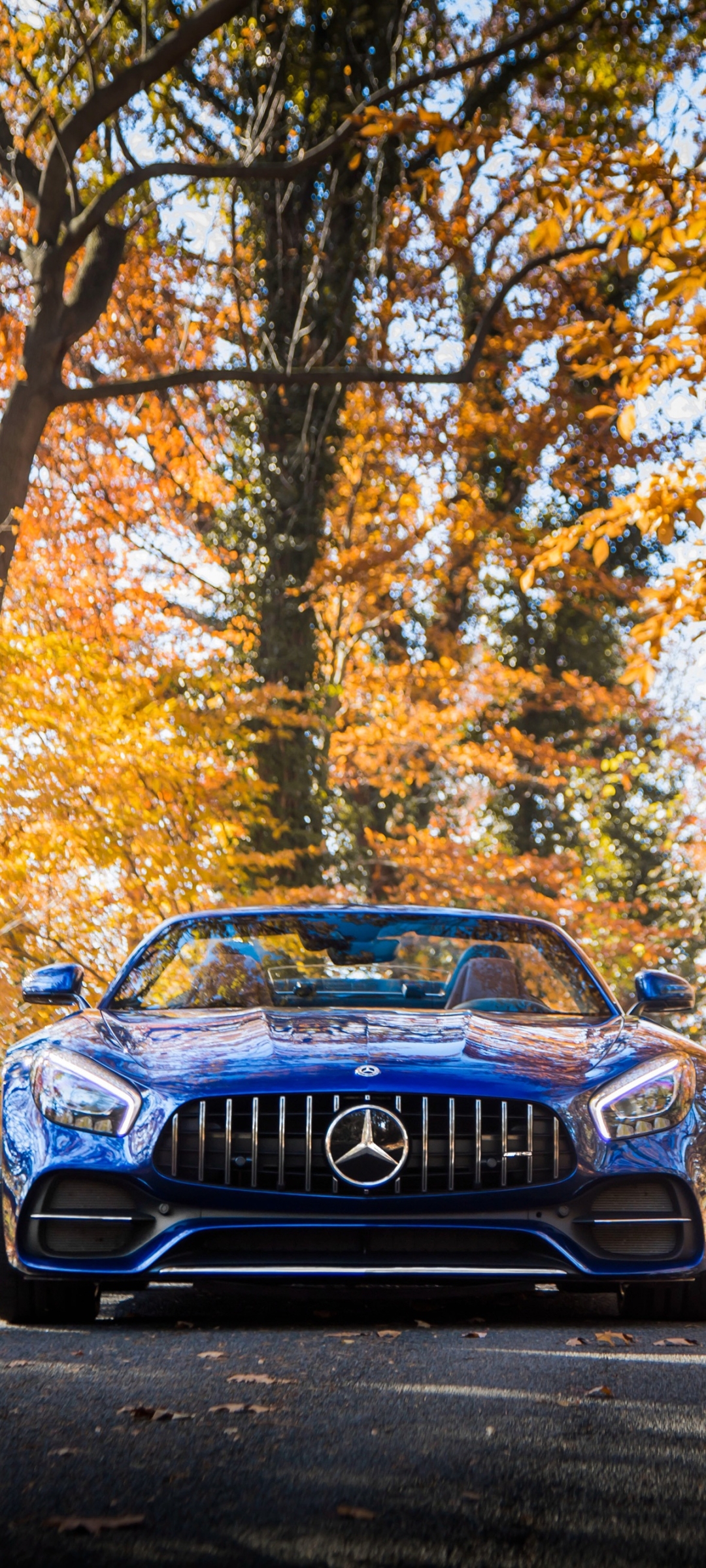Download Vehicle Mercedes AMG GT C