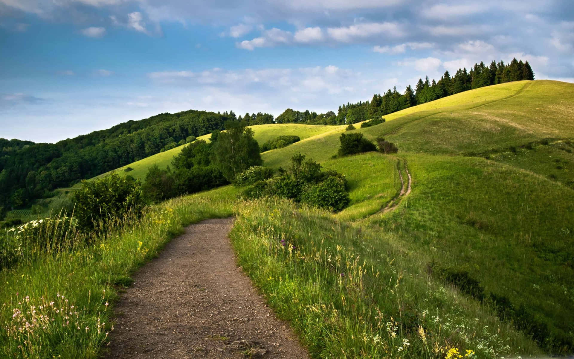 Download The beauty of nature at Hill