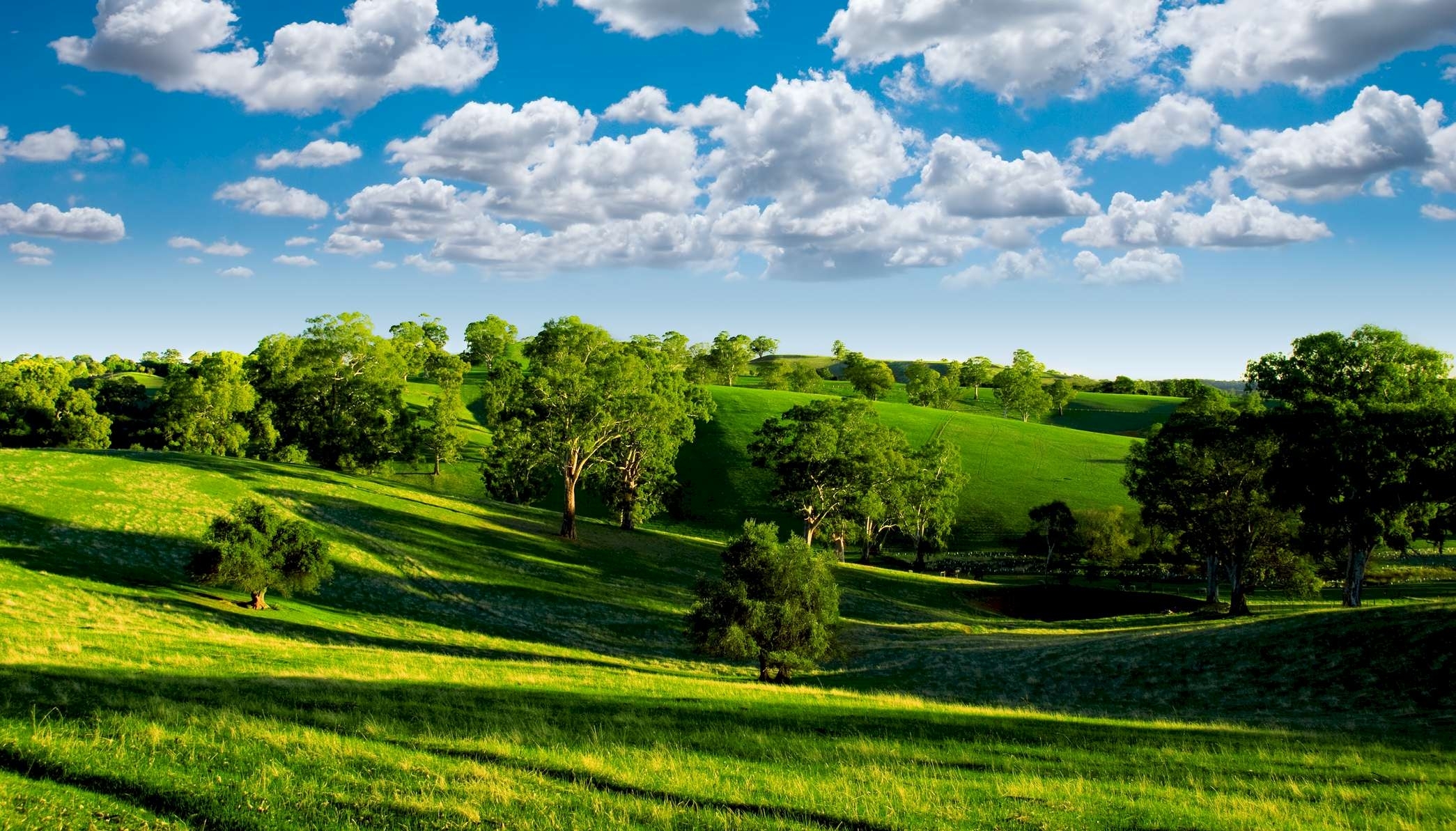 sky, clouds, trees, nature