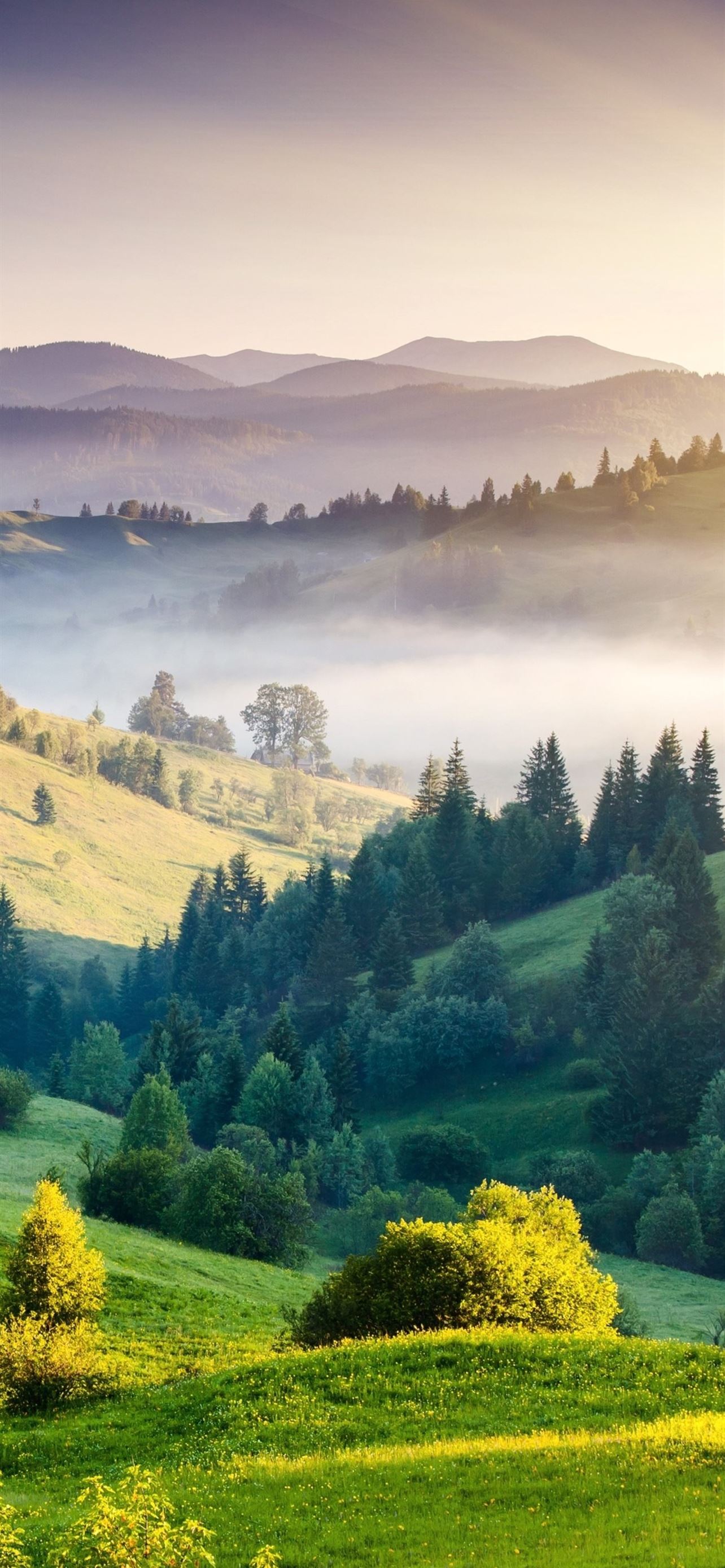 nature hills trees landscape horizon