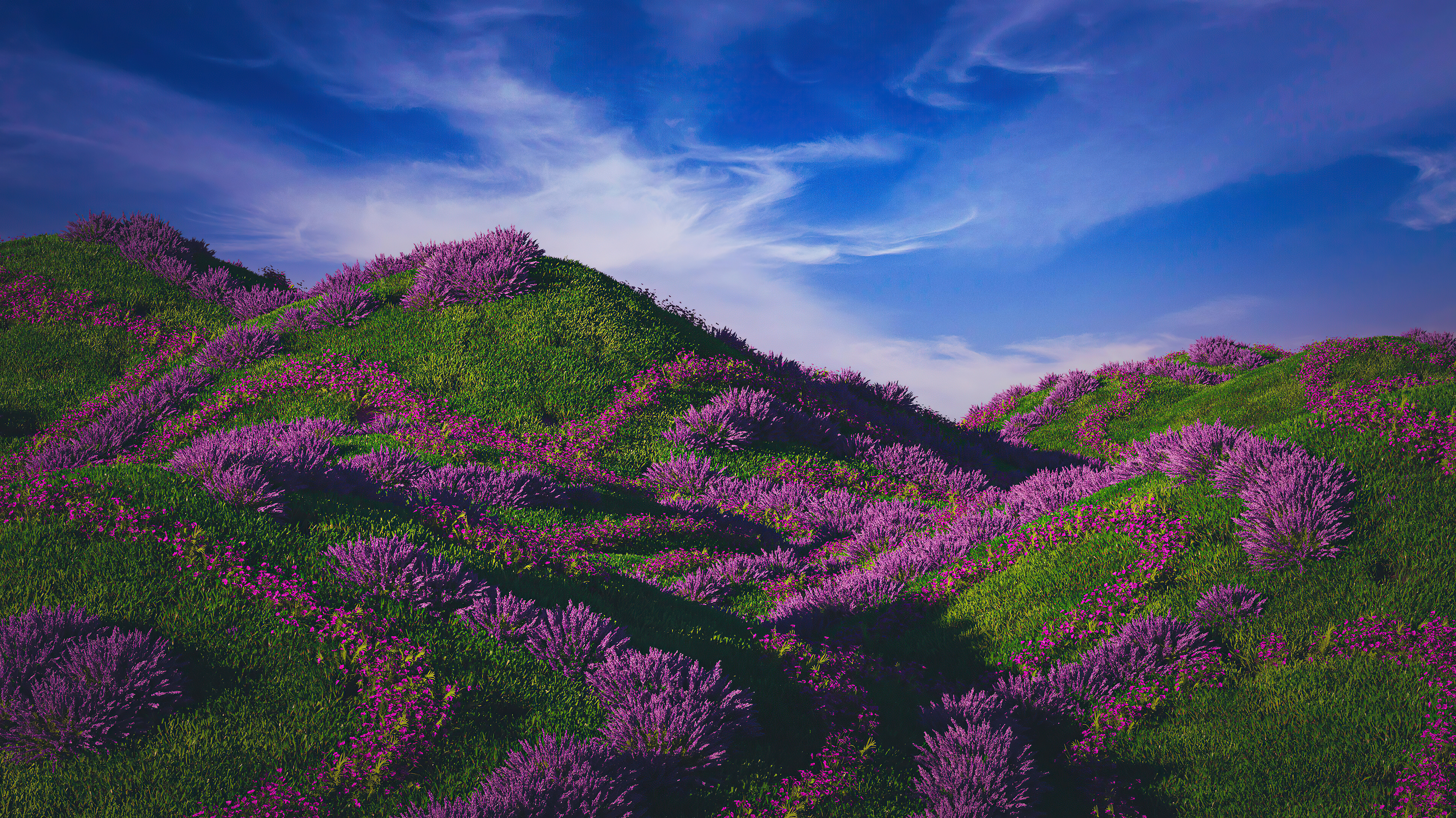 Nature Wallpaper, 4k Wallpaper