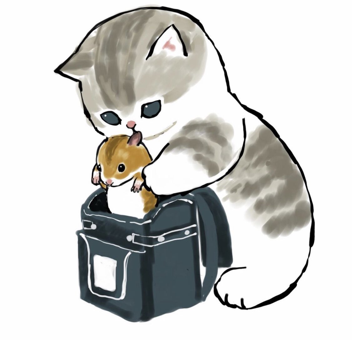 cat #cutecat #mofusand #mofu #sand