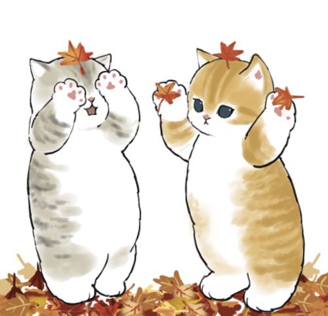 cutecat #cat #kitten #catart #art