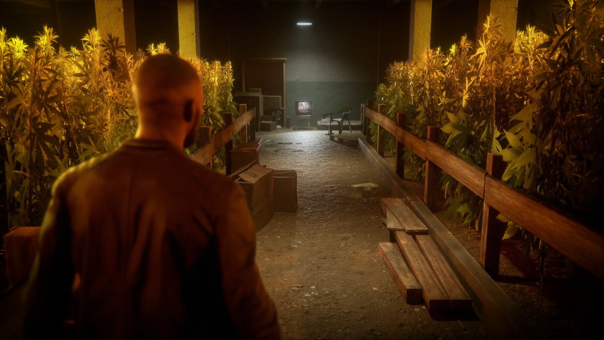 Drug Dealer Simulator 2