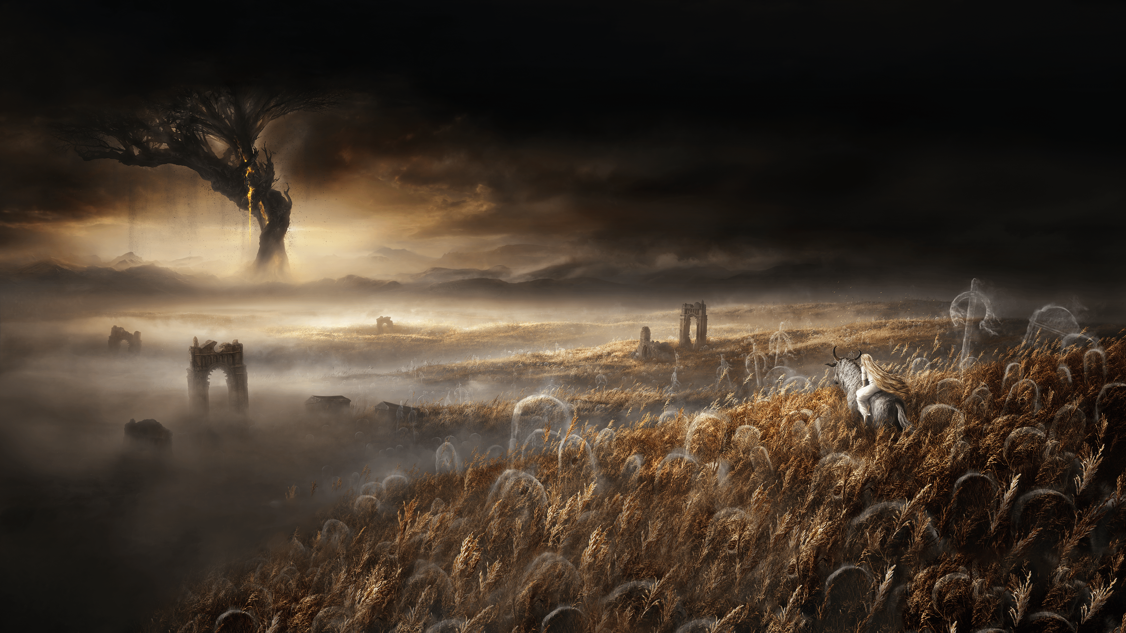 4K expanded image of Shadow