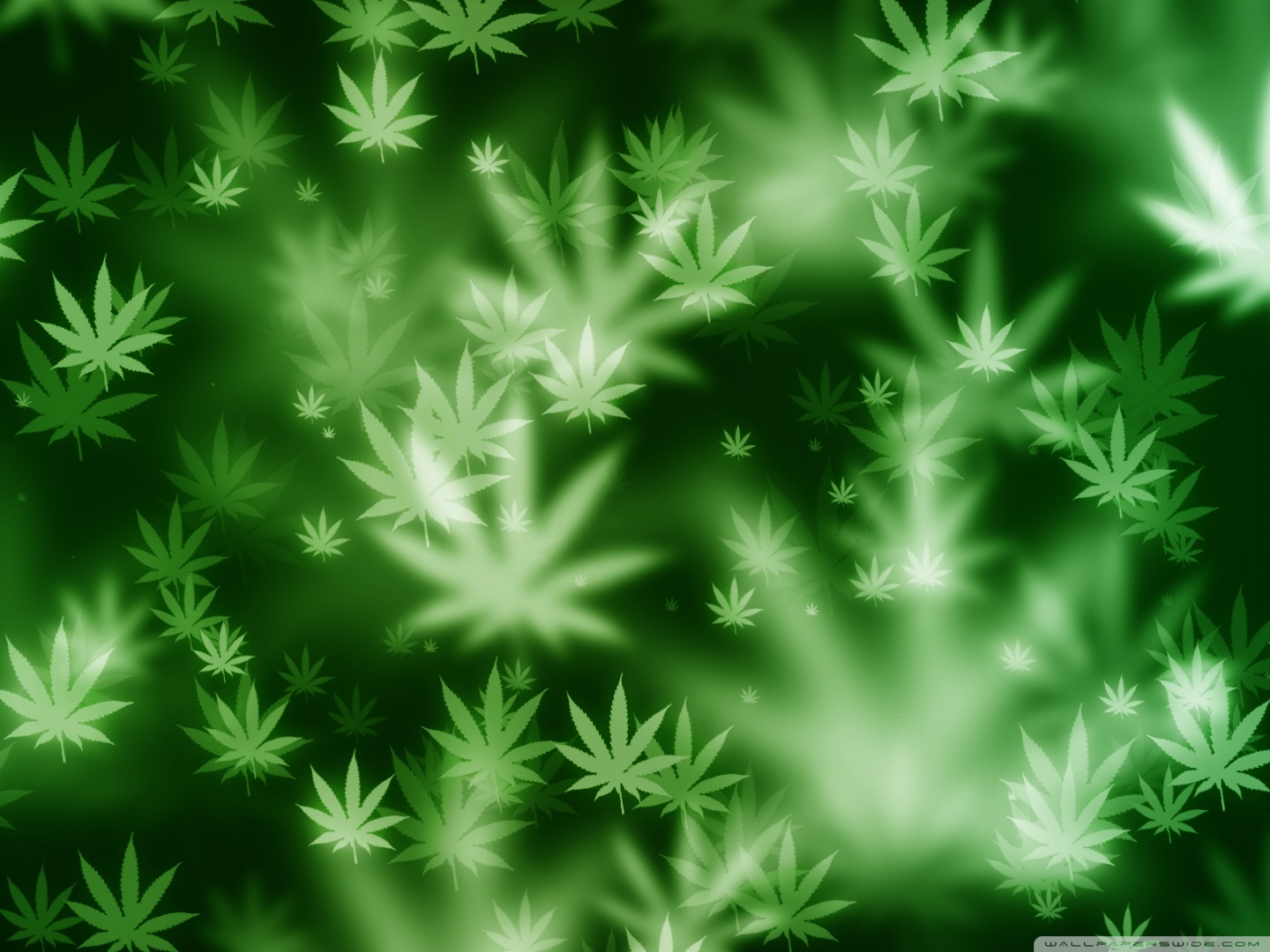 Weed Bokeh Ultra HD Desktop Background