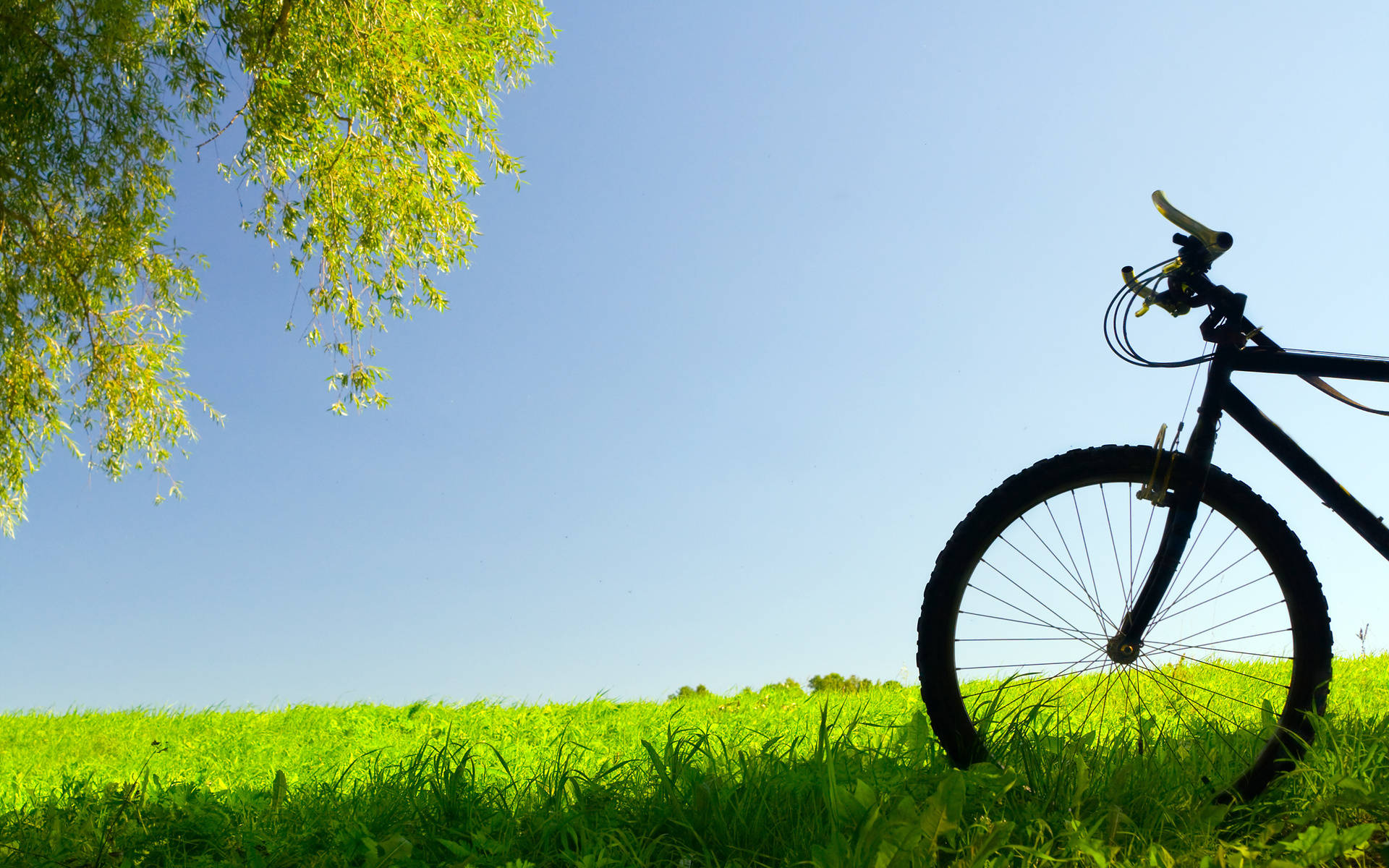 Bike Front Wallpapers - Wallpaper Cave