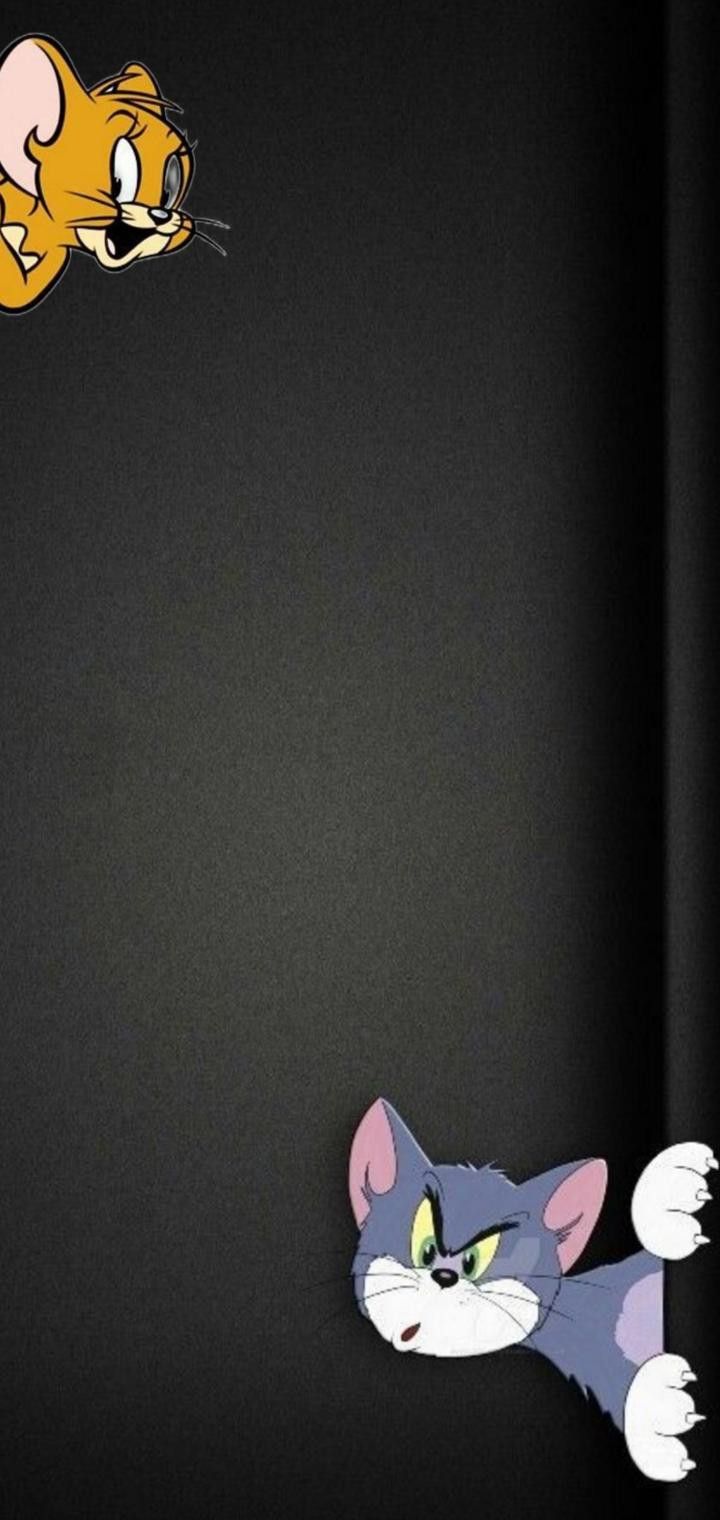 Tom and Jerry. Tom and jerry picture