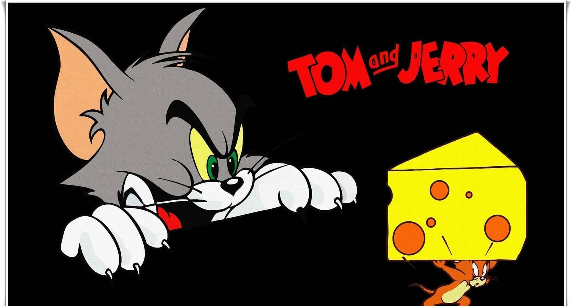 Tom And Jerry Funny Wallpaper