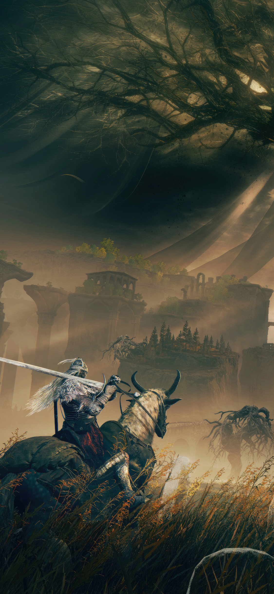 Elden Ring 2024 4k iPhone XS