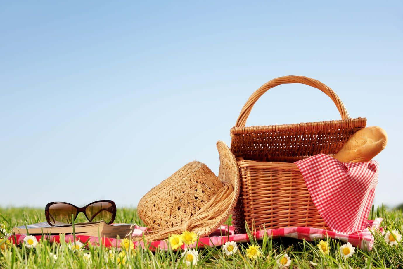 Download Tranquil Lakeside Picnic