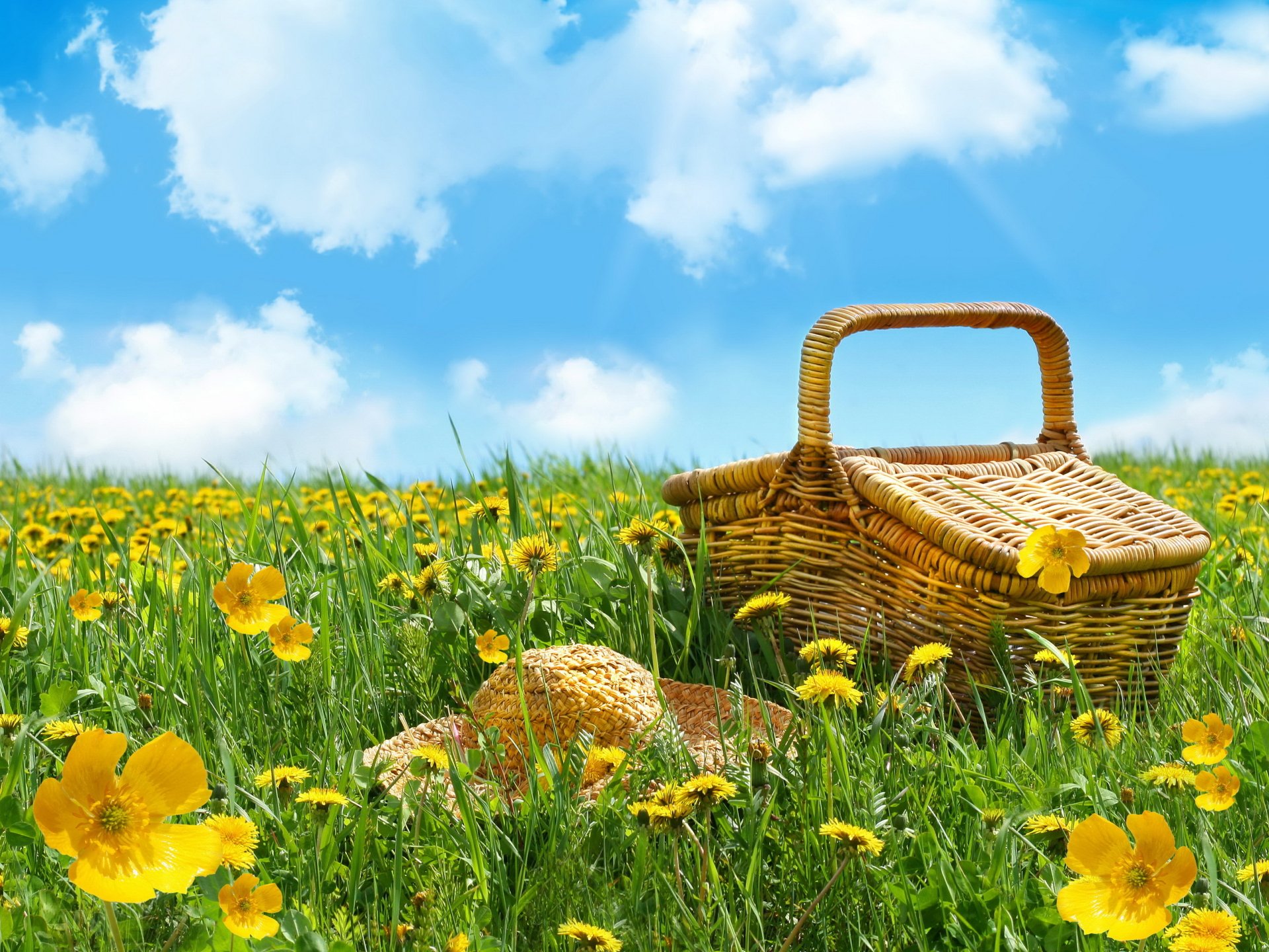 Spring Food Picnic HD Wallpaper