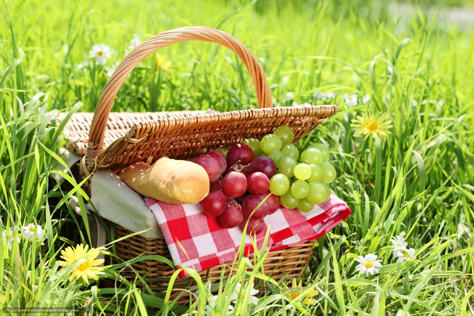 Download wallpaper picnic, grapes