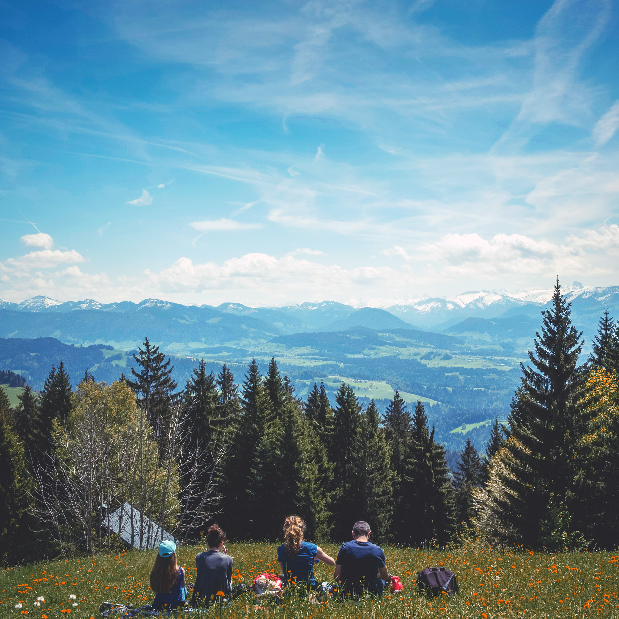 Nature Mountain Green Summer Picnic