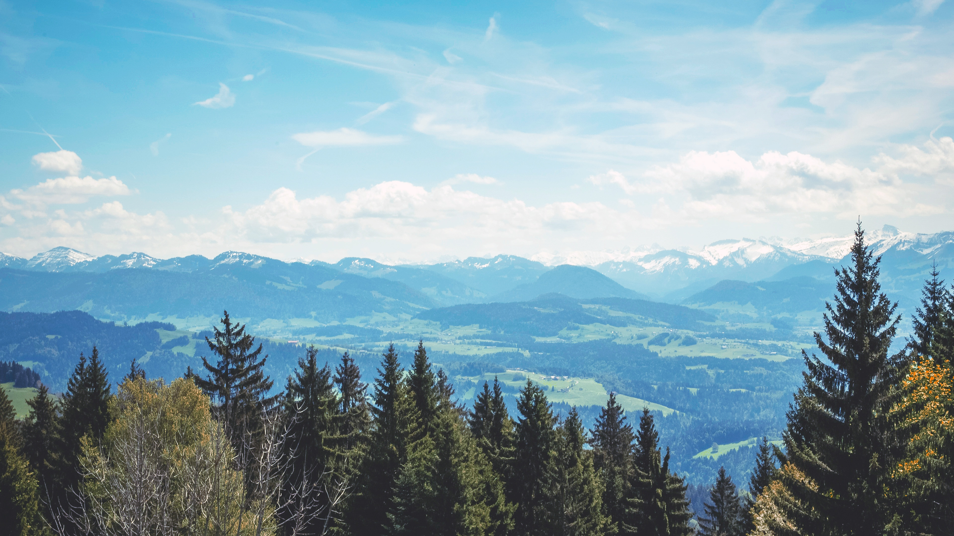Nature Mountain Green Summer Picnic