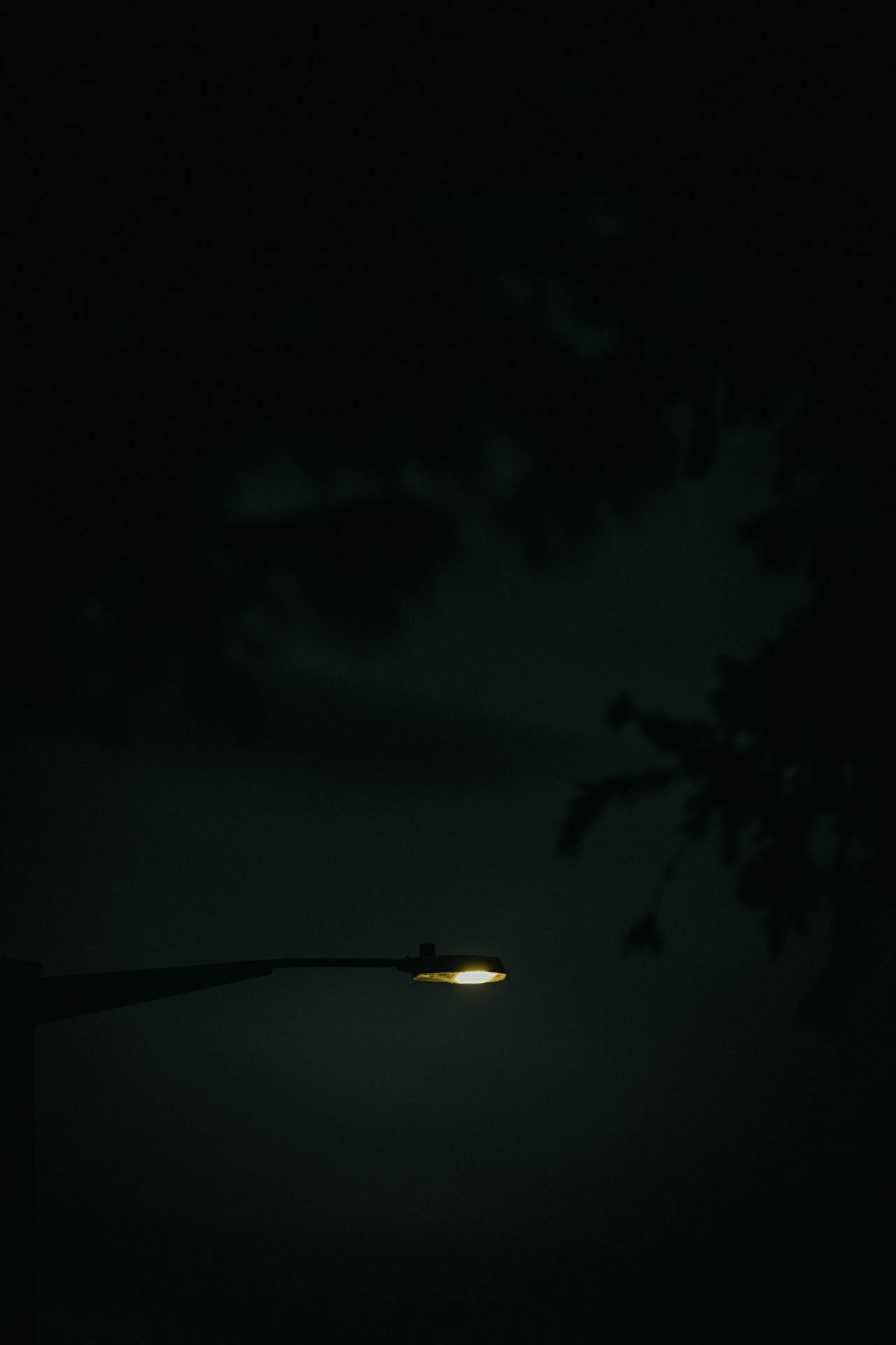 Download free Street Light Black