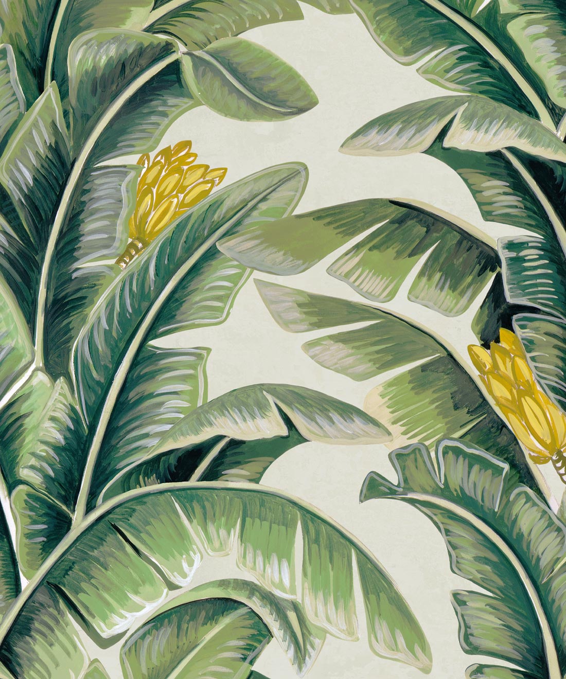 The Great Shalimar • Big Banana Leaf