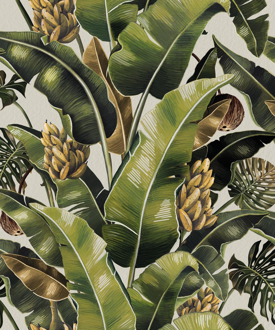 Kingdom Palm Wallpaper • Banana Leaf