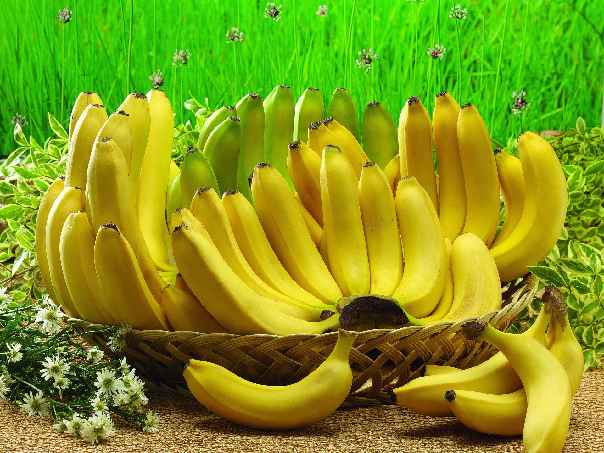 Download Food Banana 4k Ultra HD Wallpaper