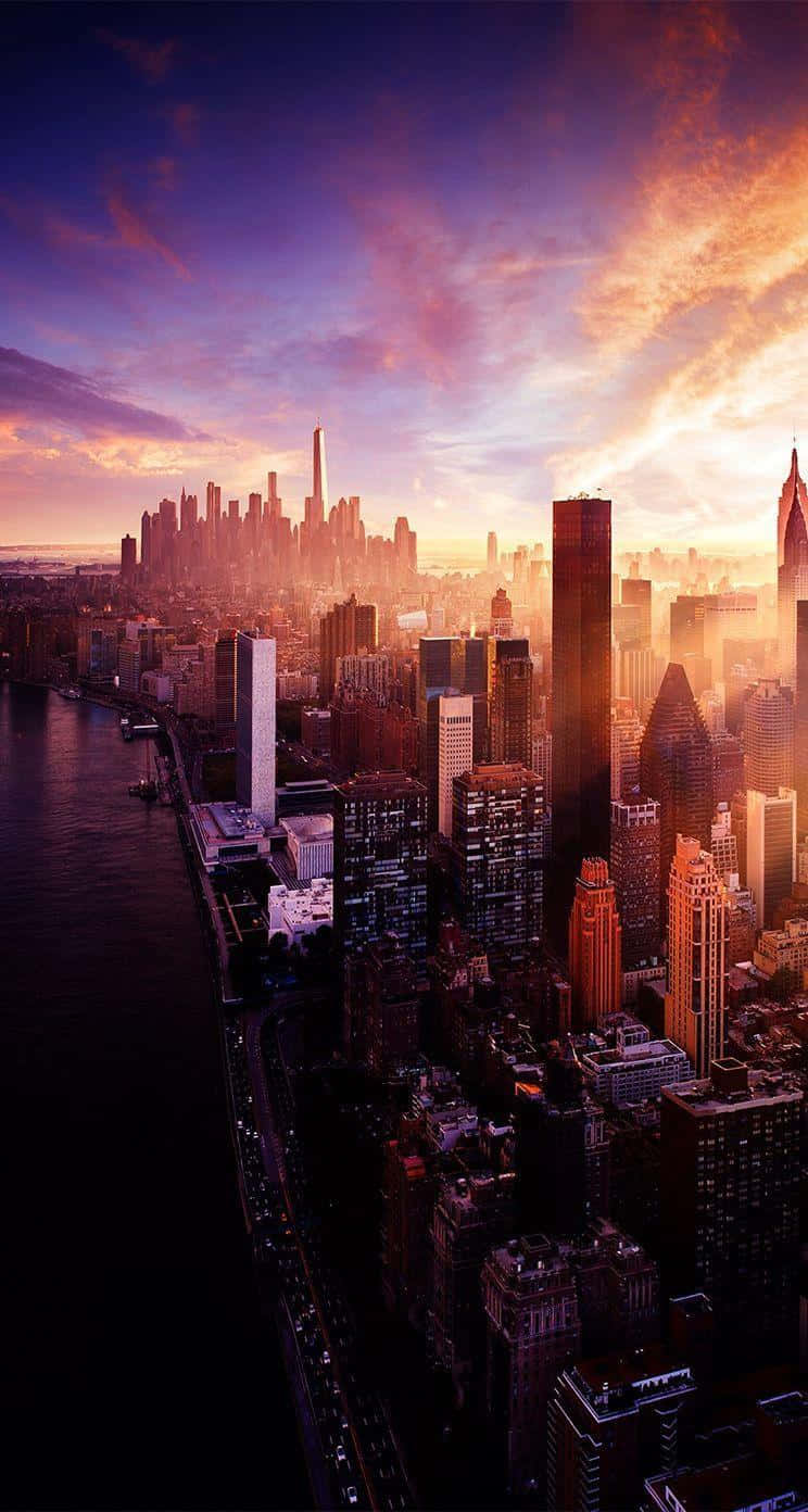 Download Miami Cityscape Sunrise iPhone