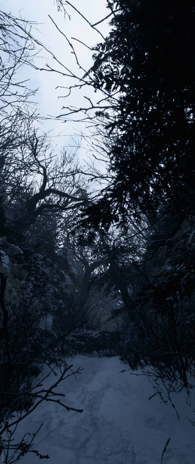 More Resident Evil Village screens