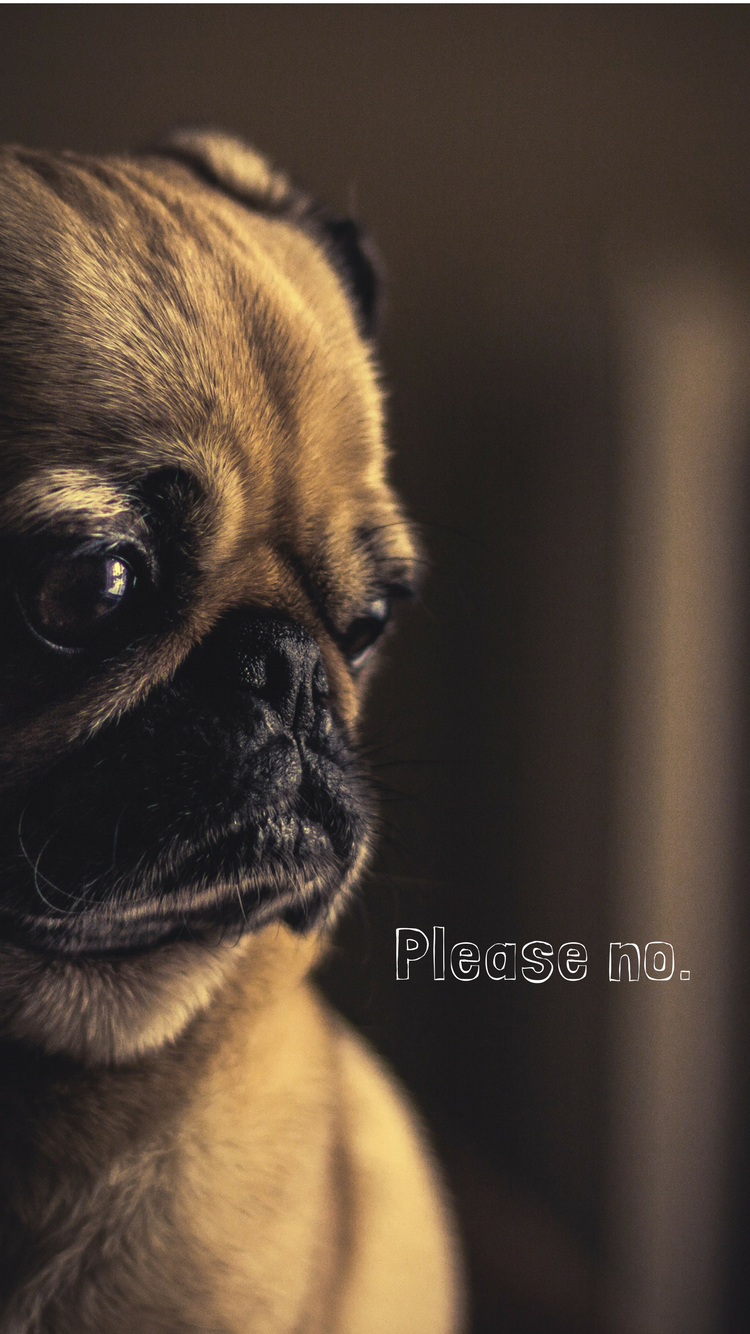 Seven iPhone Wallpaper That Will Make