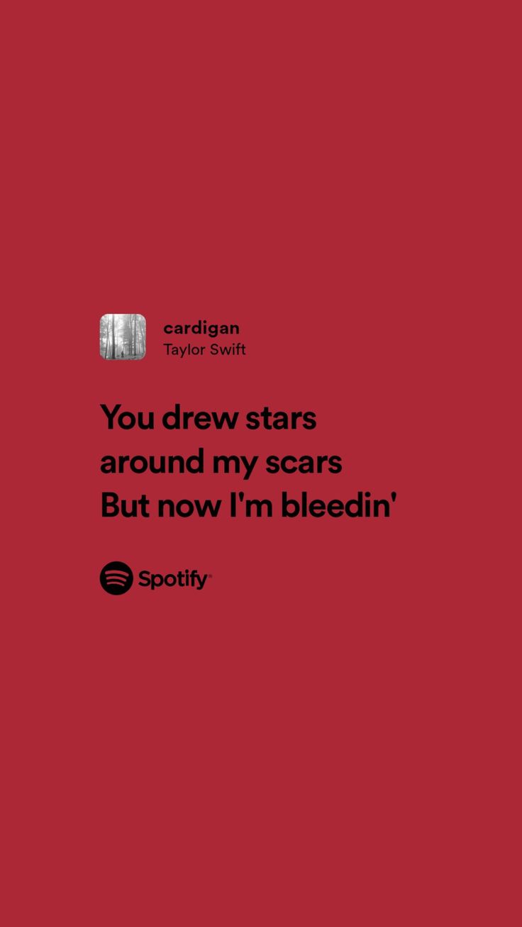 Taylor Swift. Just lyrics