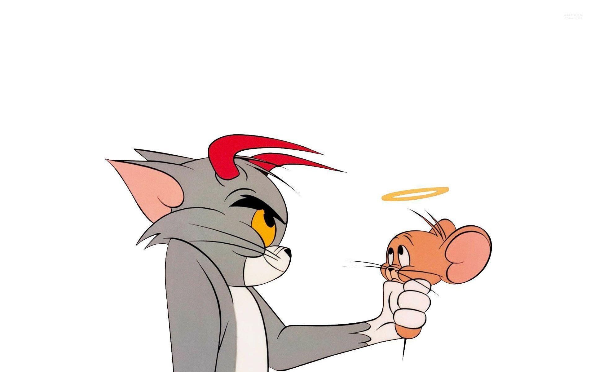 1tomjerry #animation #cartoon #cat