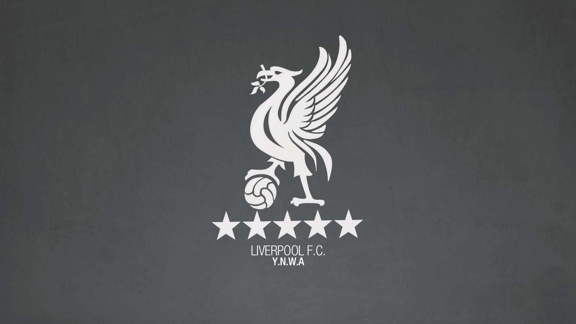 Free Liverpool Logo HD Wallpaper