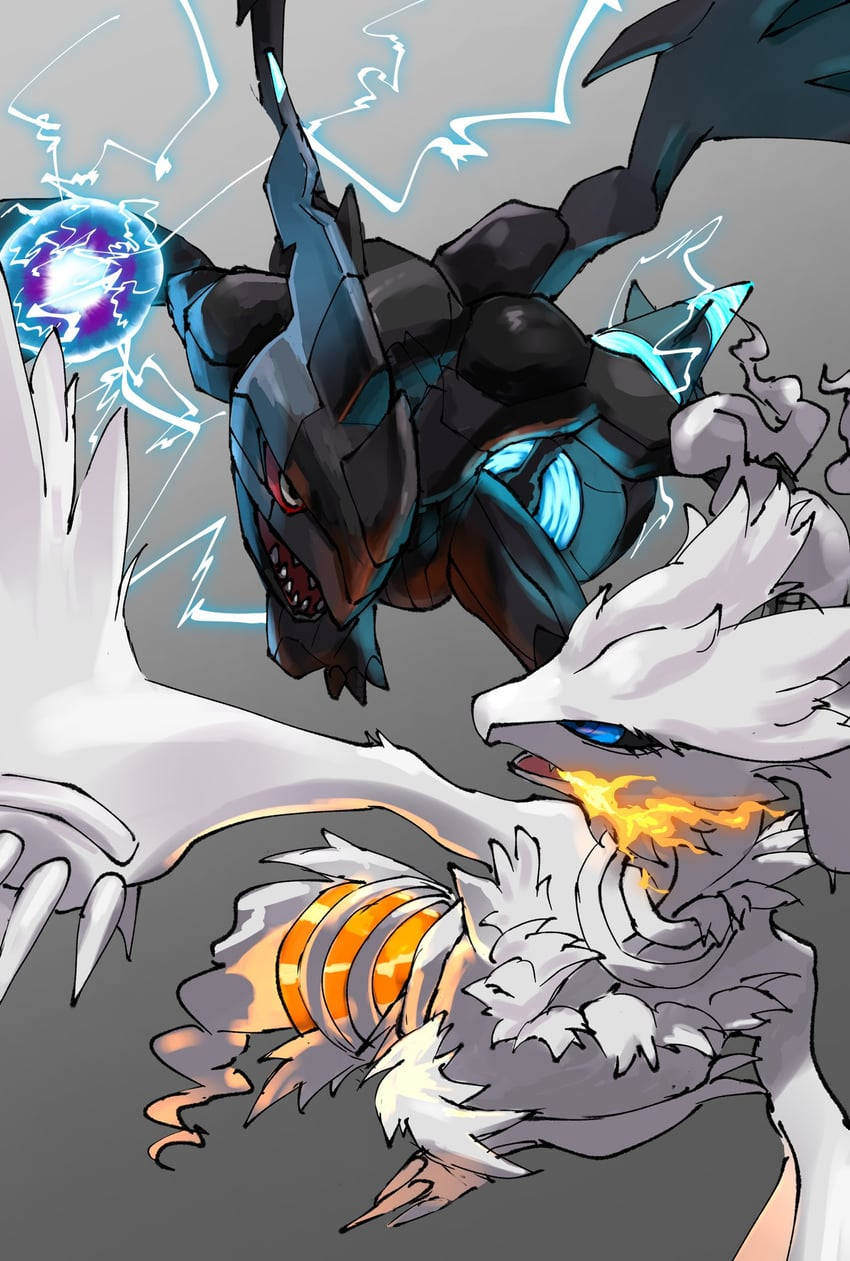 Download Epic Reshiram Fighting Zekrom Wallpaper