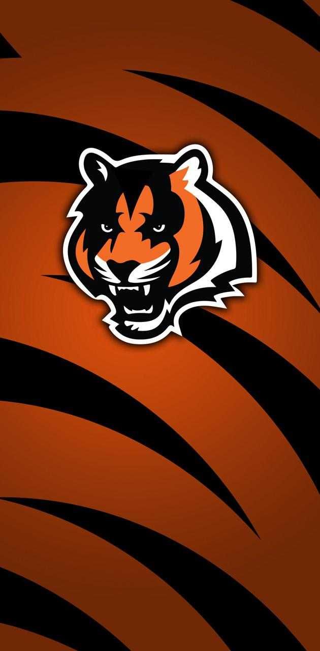 Cincinnati Bengals, football Team