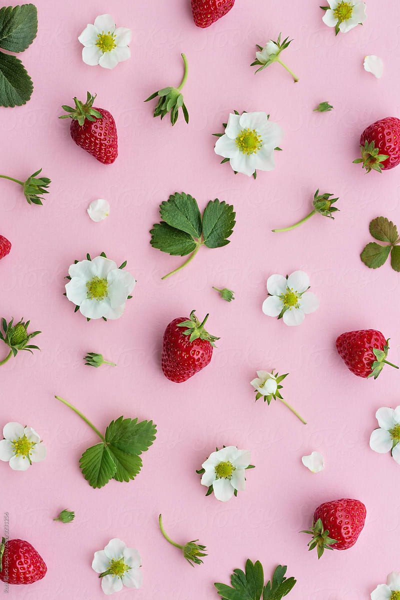 Strawberry Fruit And Flowers On A Pink