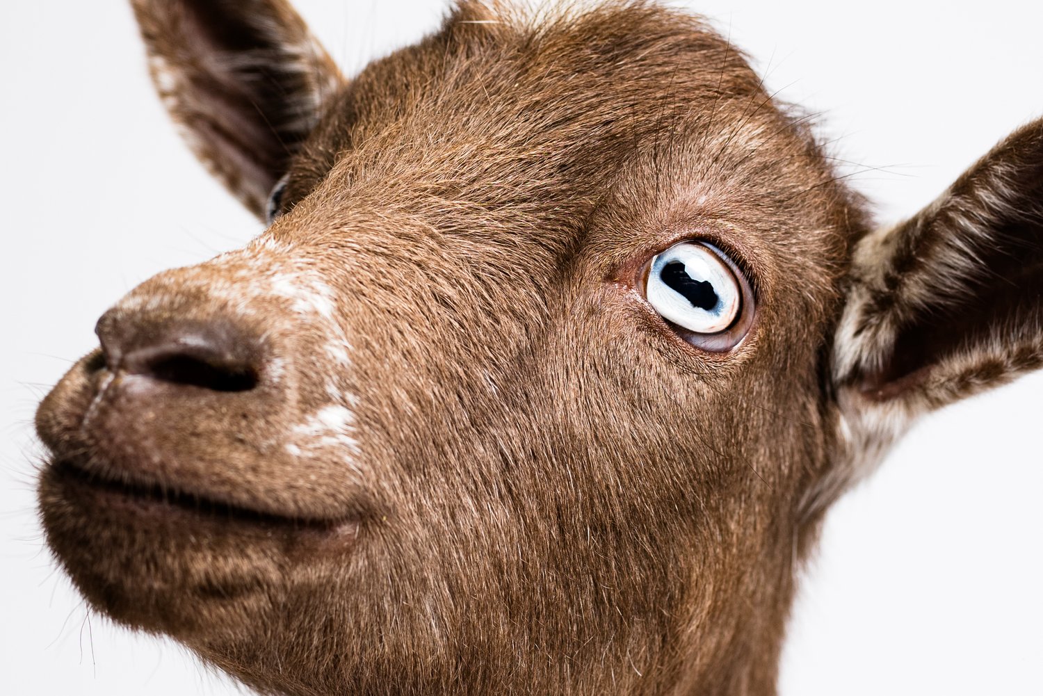 Rebecca Trumbull Photography