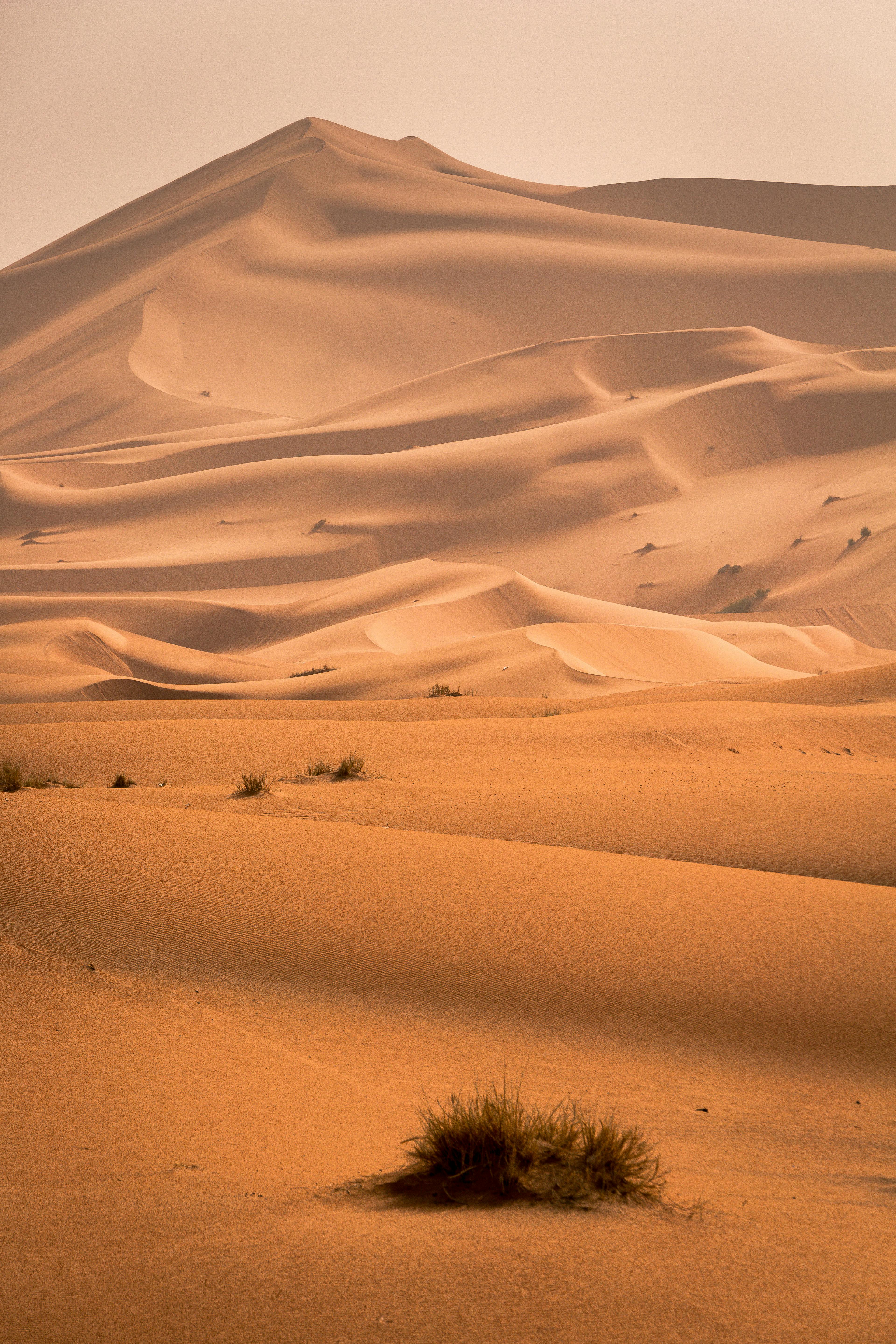 Sahara Desert & HD Image