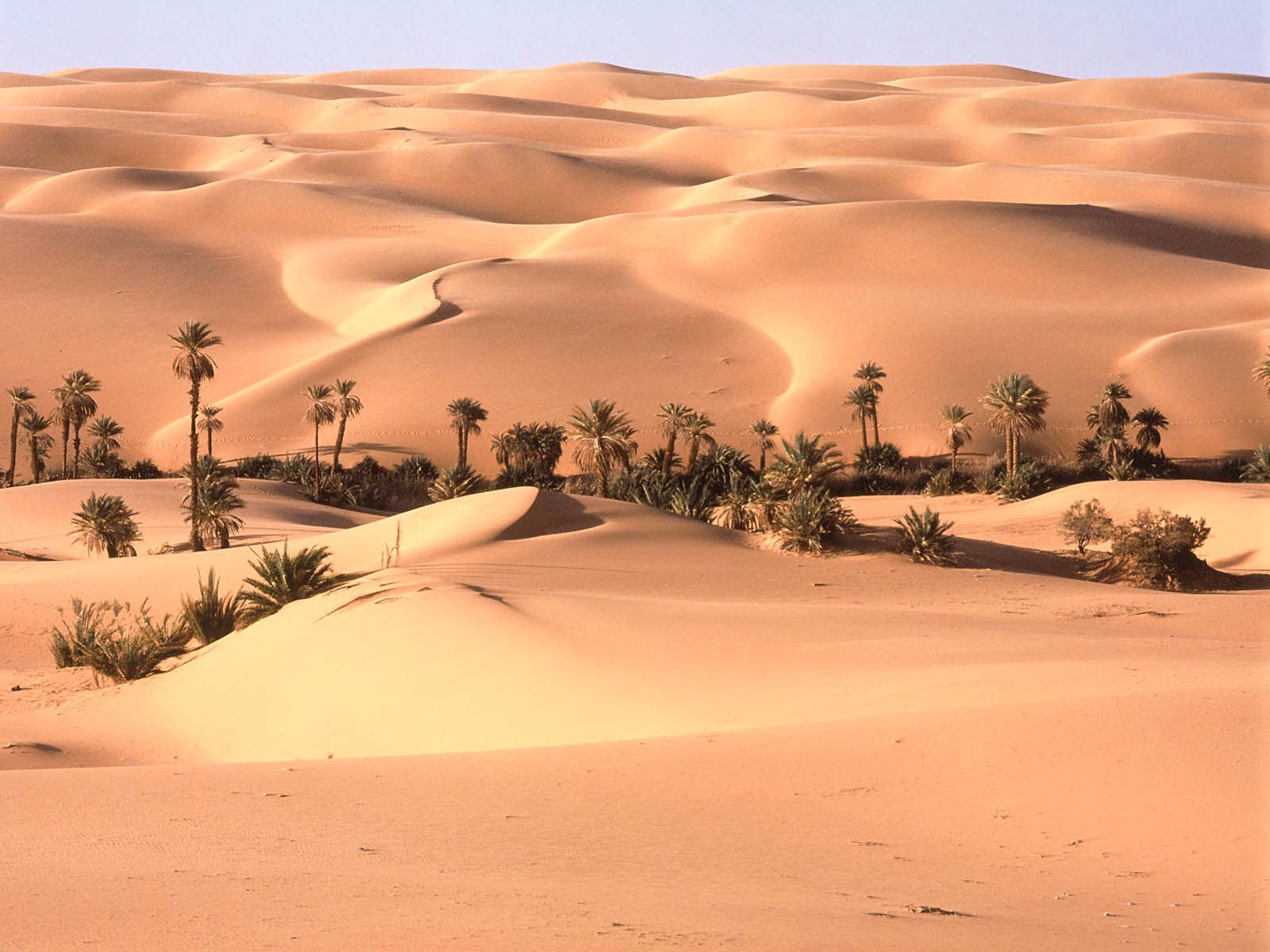 Resolution HD Wallpaper