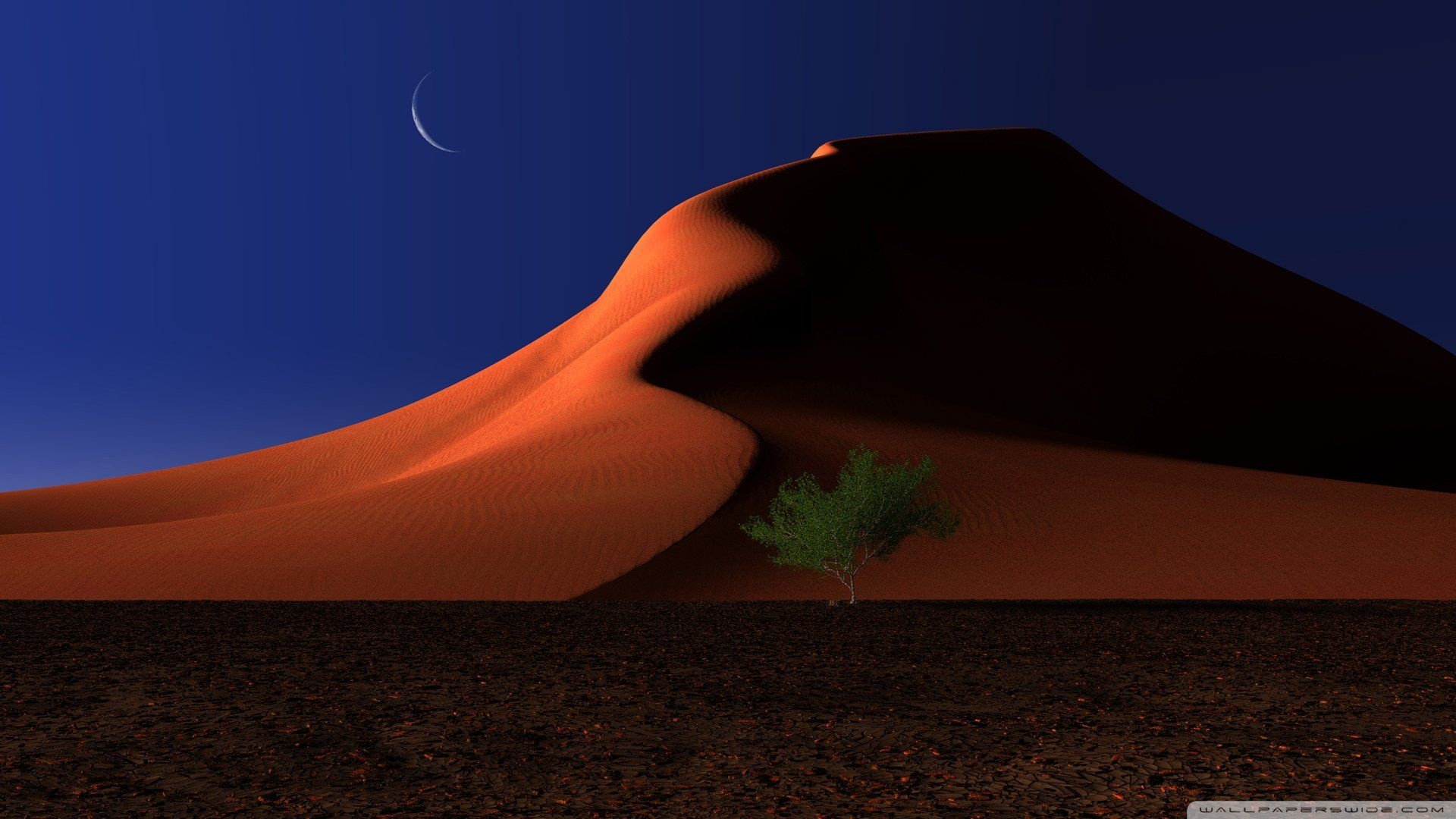 Night In The Desert Ultra HD Desktop