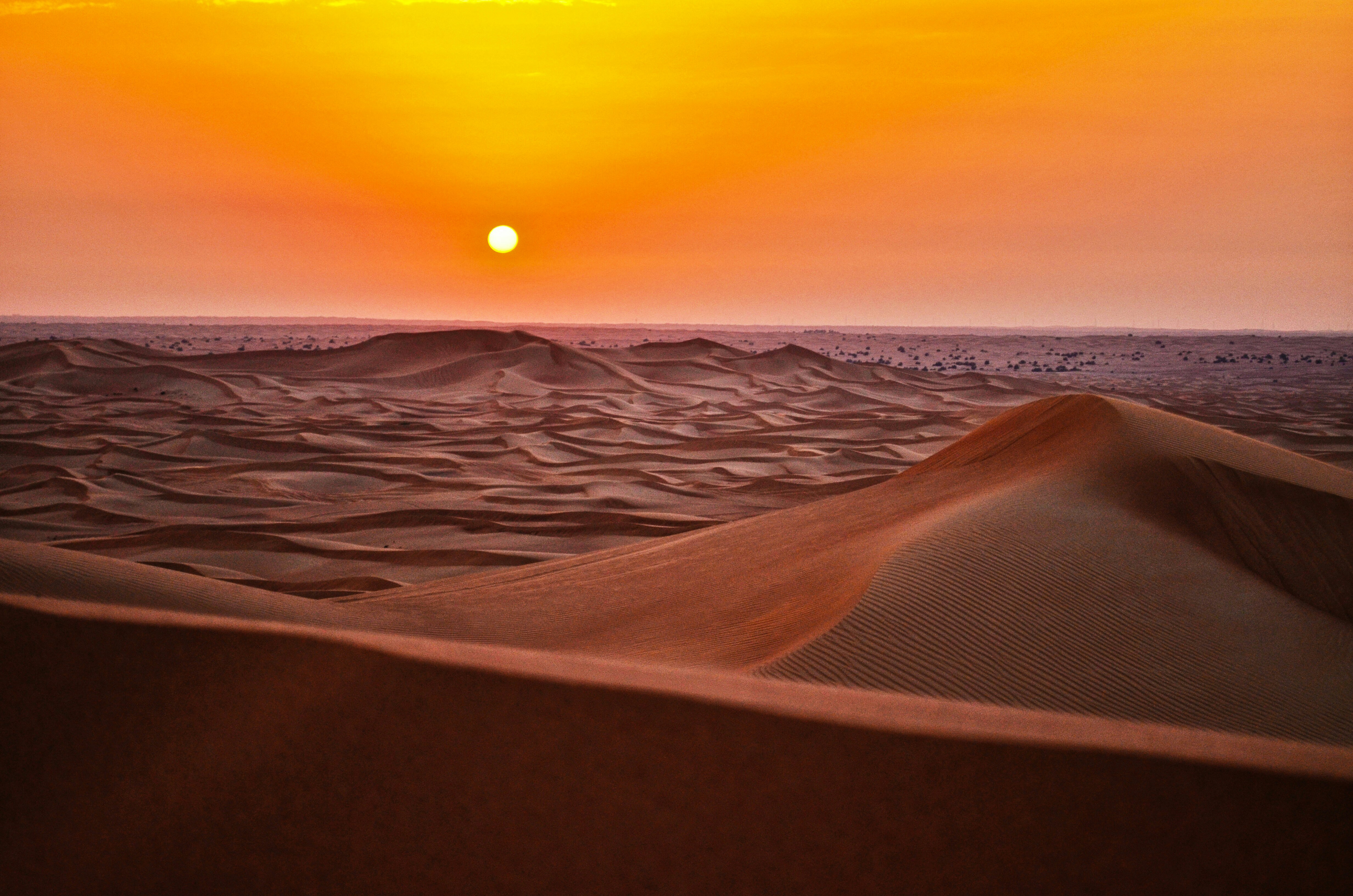 Free Desert Picture &