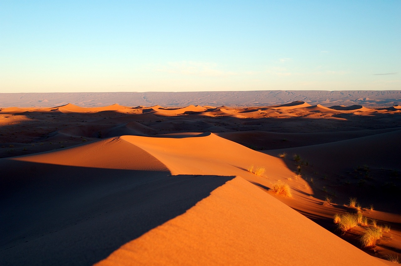 Morocco Africa Desert