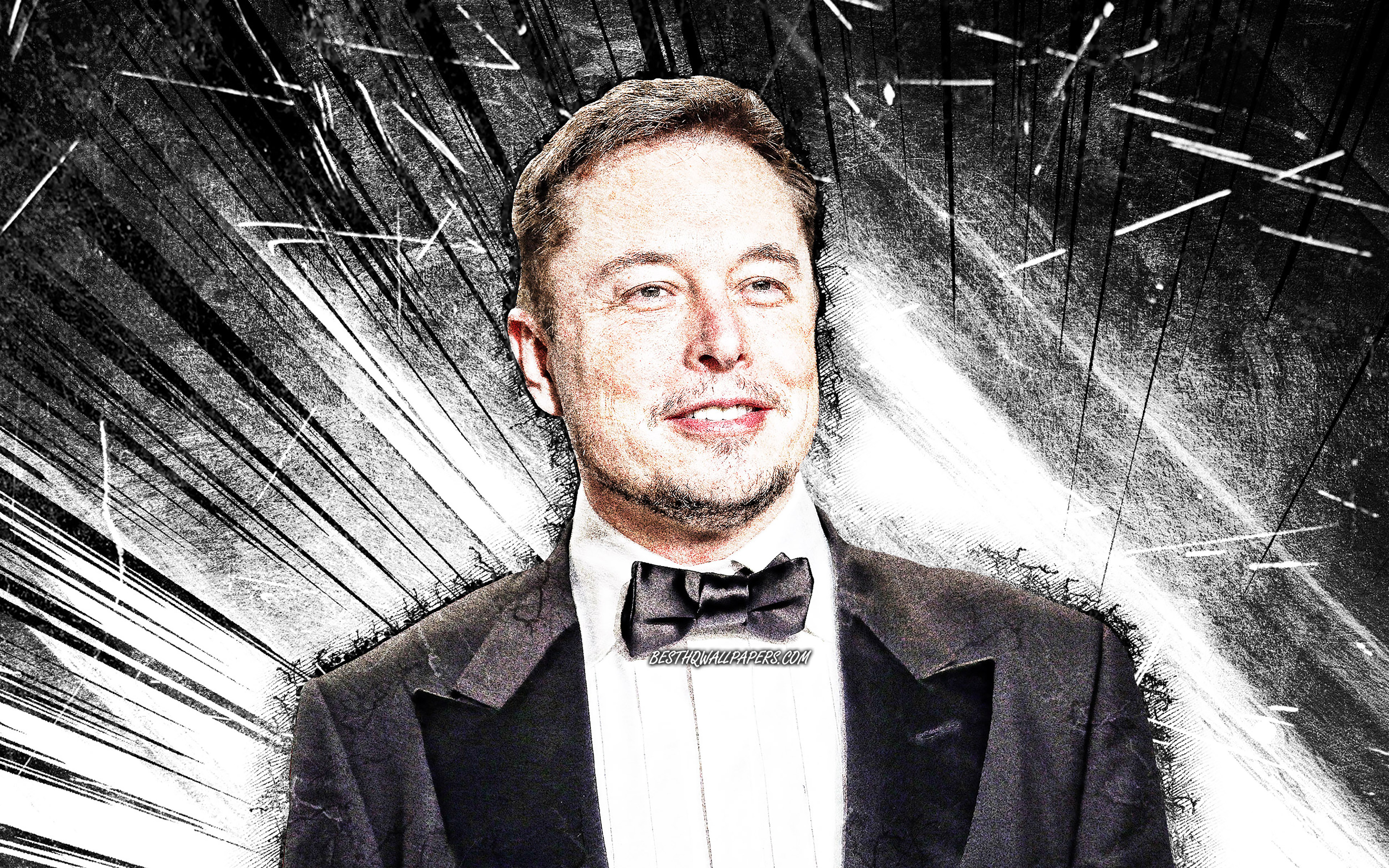 Elon Reeve Musk, artwork, Elon Musk 4K
