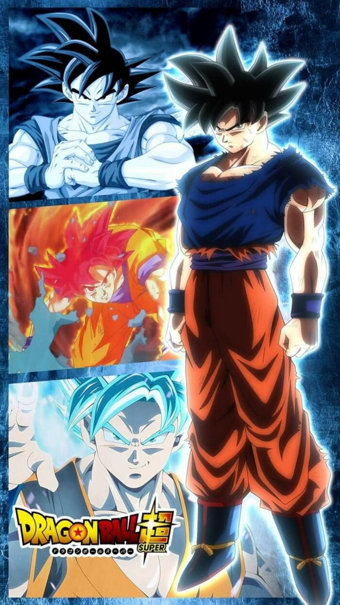 Goku SSJ Blue iPhone 11 Wallpaper