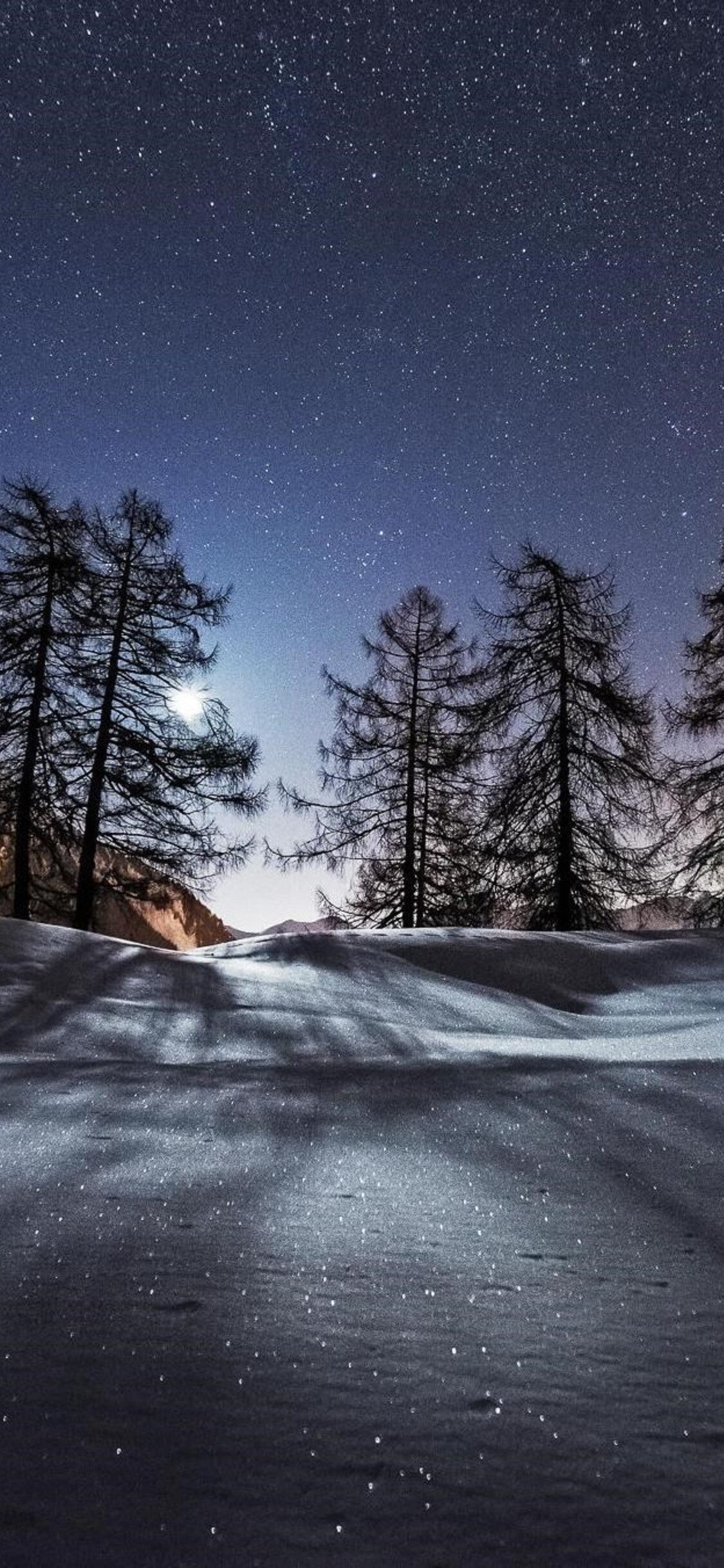 Trees Night Snow Mountains