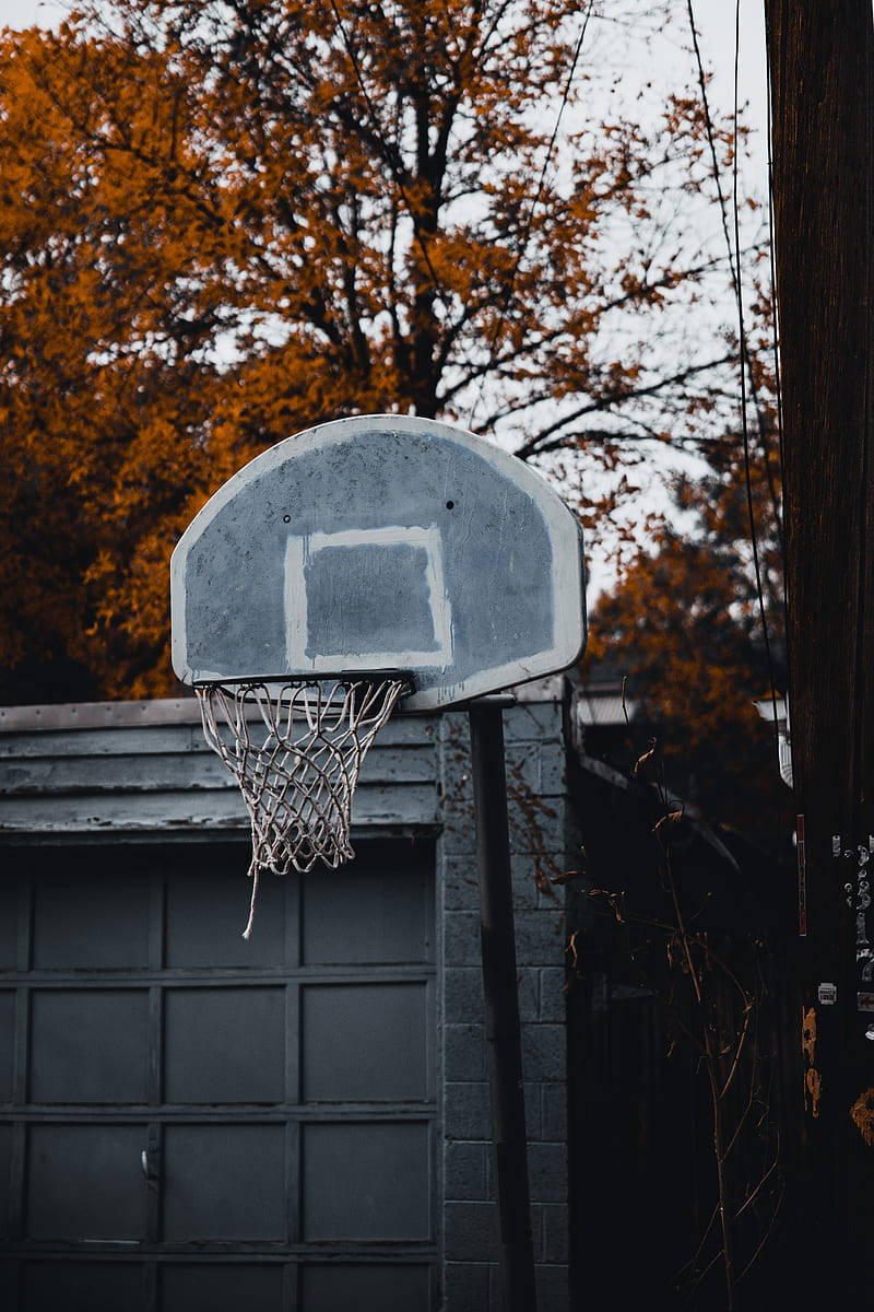Cool Basketball iPhone HD Wallpaper