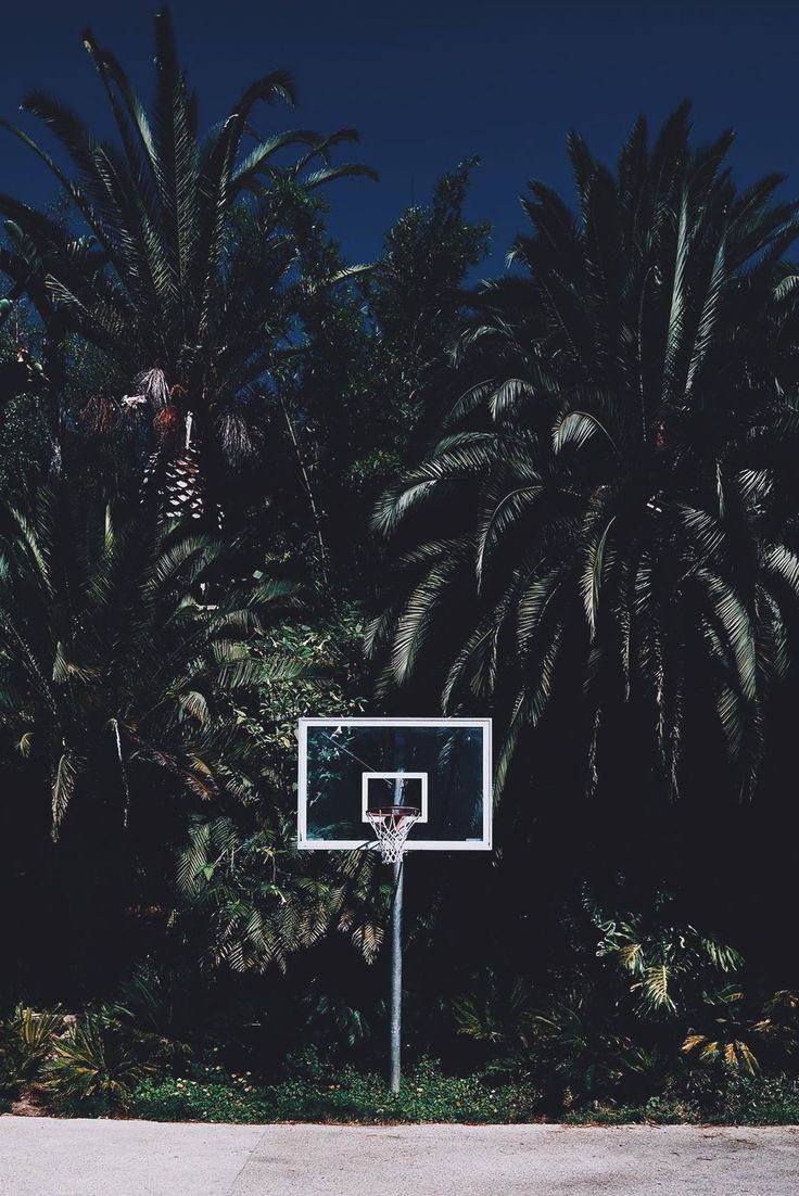 HOOPS//. Palm