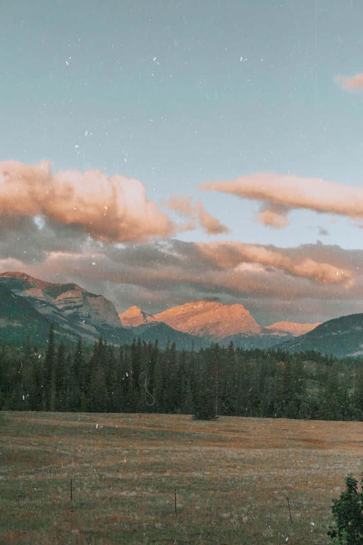 Nature Aesthetic Phone Wallpaper