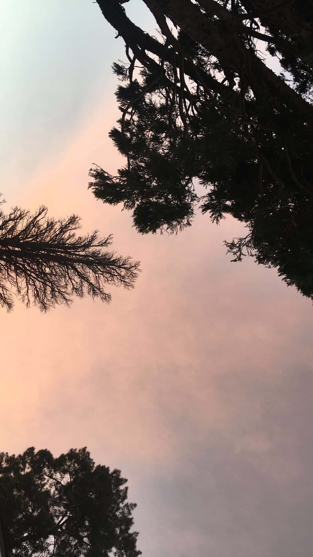 Download Nature Aesthetic For Your