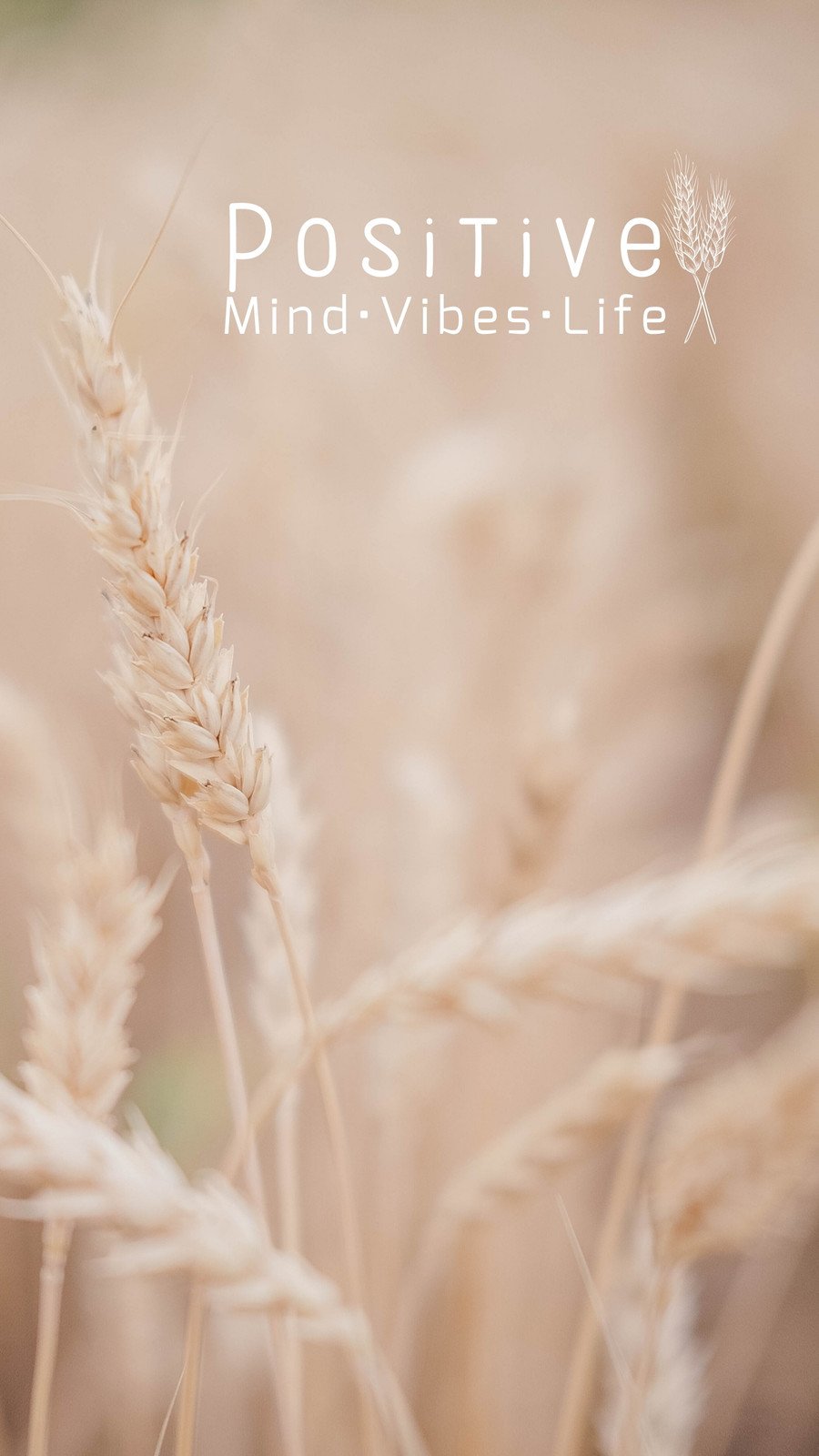 aesthetic phone wallpaper