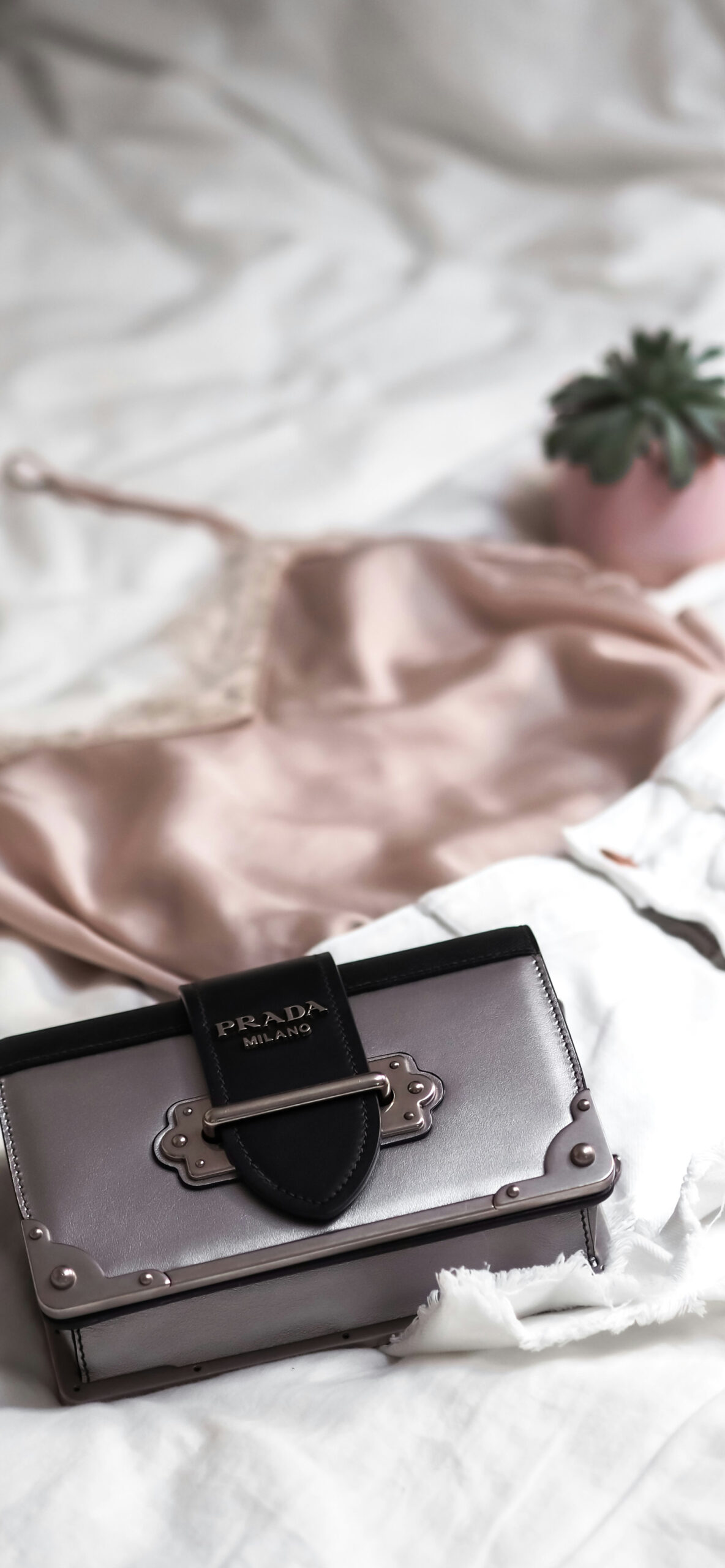 Prada Wallpaper for iPhone 11, Pro Max