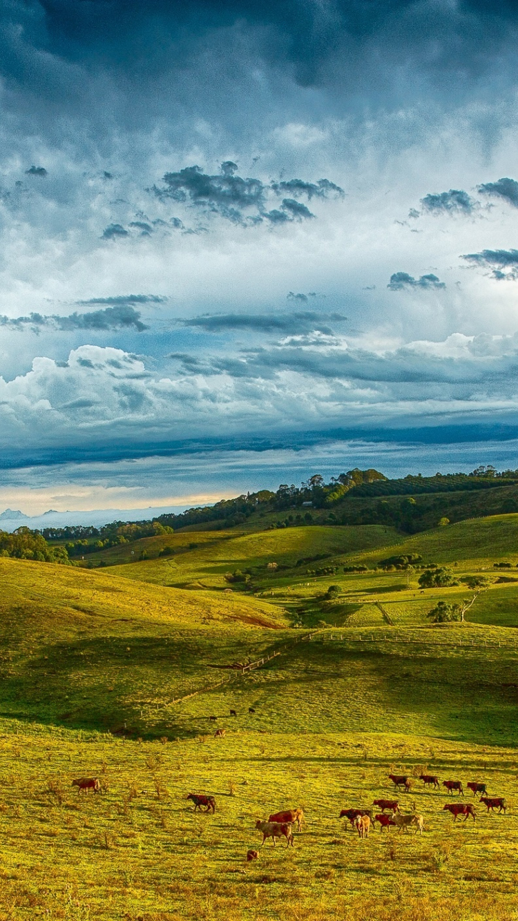 Download wallpaper 750x1334 hills