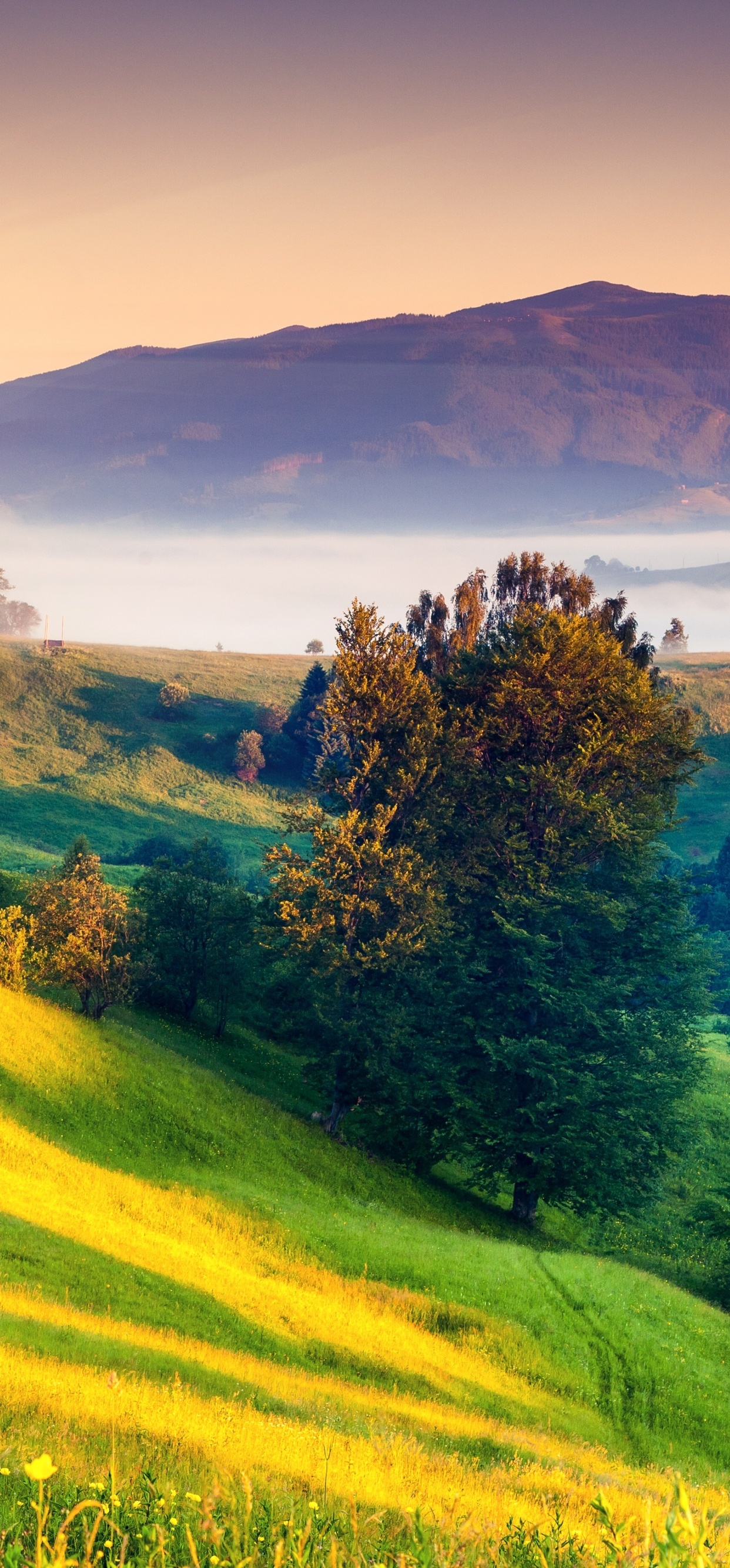 Sunrises And Sunsets Scenery