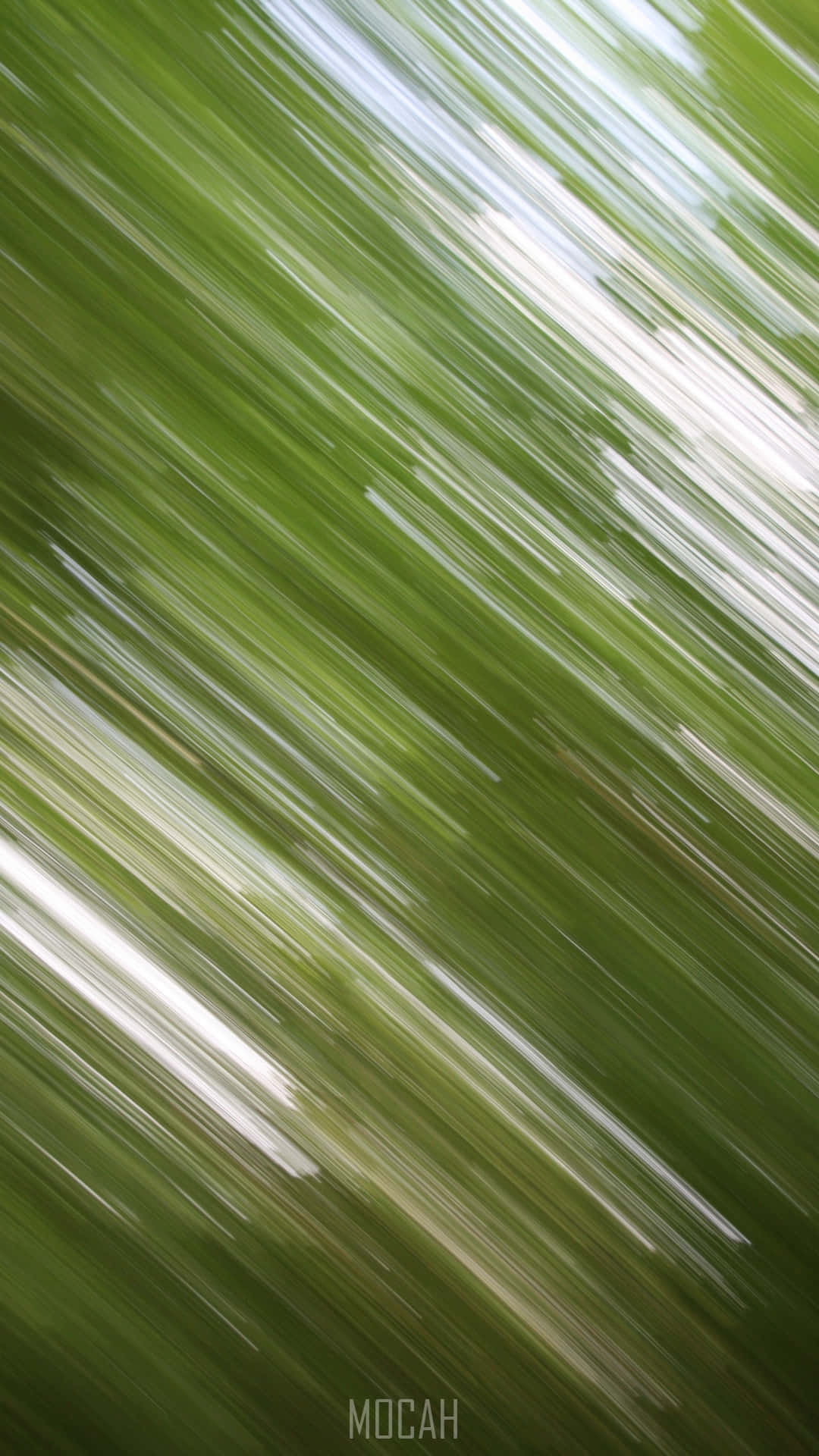 Olive Green iPhone Wallpaper